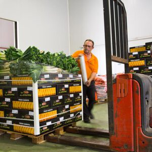 Producción y venta de hortalizas y verduras