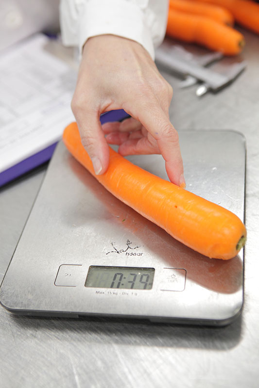 Control de calidad de las zanahorias Zanemi